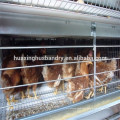 2014 les cages de volailles les plus professionnelles pour les poules pondeuses